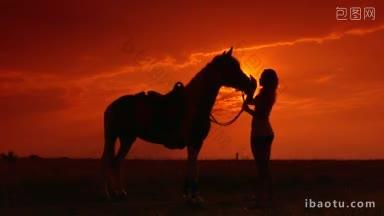 夕阳下田野里女人和她的马的剪影